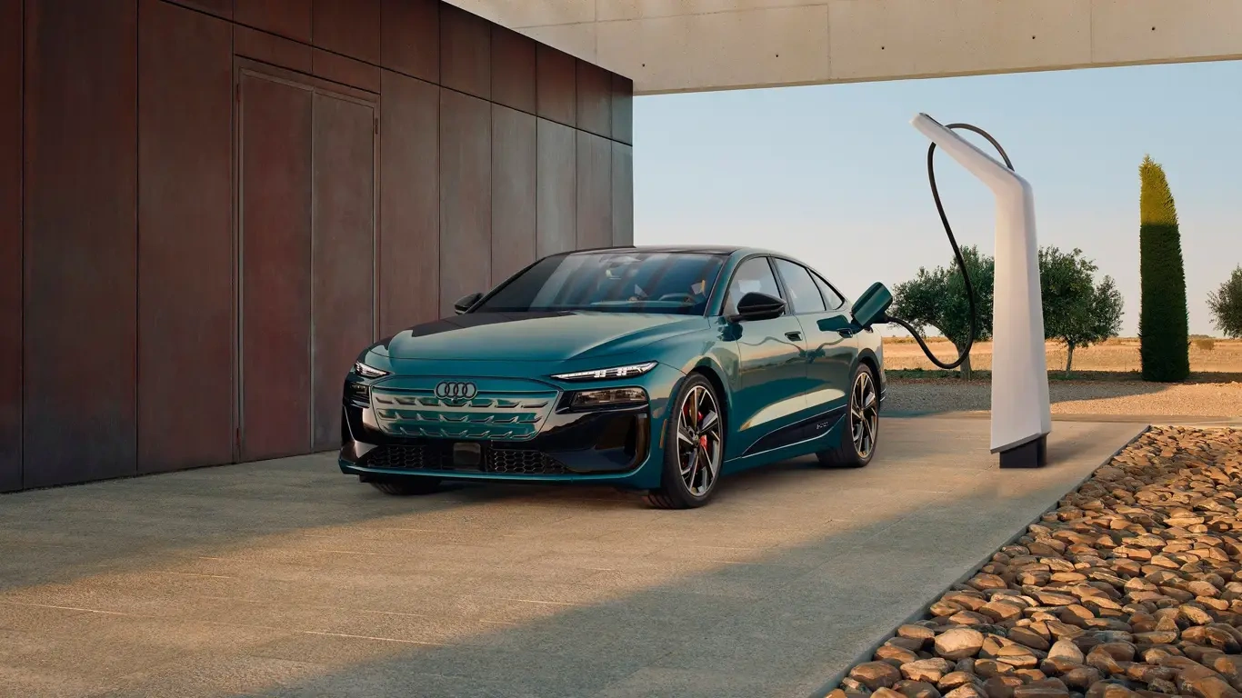 ��� � �������: ������ ����������� ���� � �������������� 2026� ���� ��������������