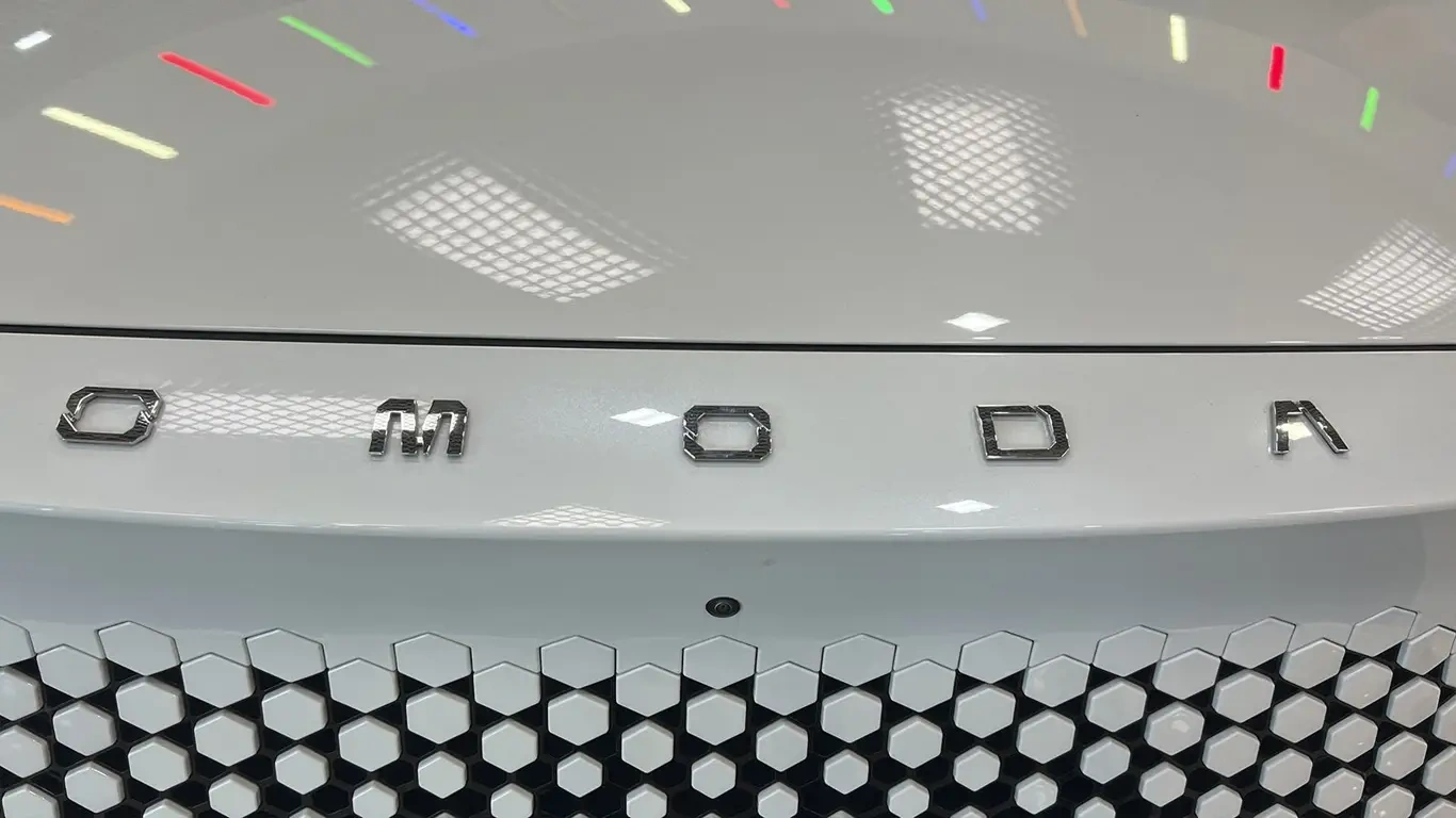 Нервная история: в России запустили отзыв из-за риска при срабатывании airbag