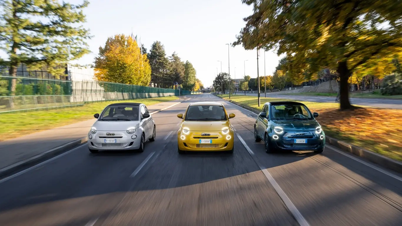    :  ,      Torino Film Festival