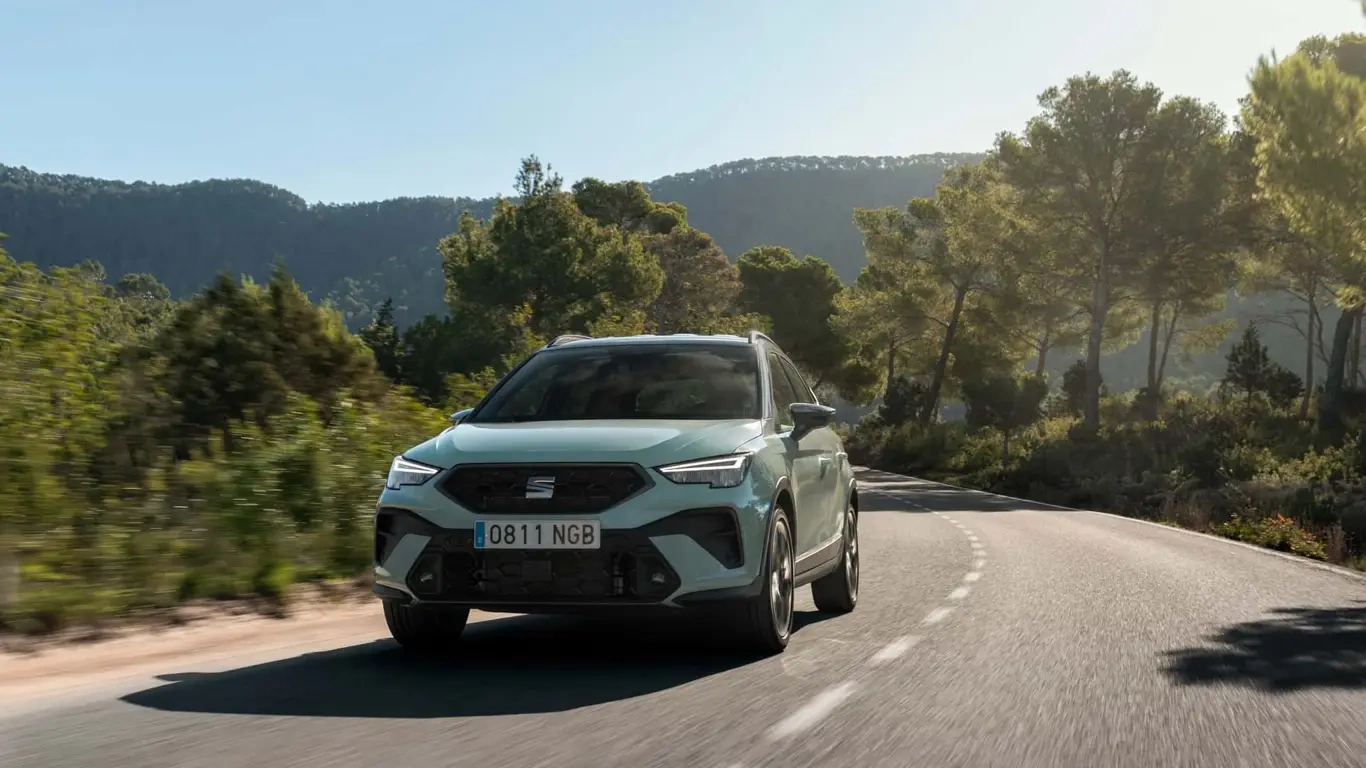 ��������� ��������� ����� � �����: ������ �� 20 ����� ���� � ������� ����