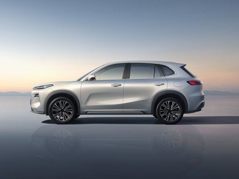 �������� ���������� � ������ ������ � �� ������� �� Belgee: ��� ��� �� ����