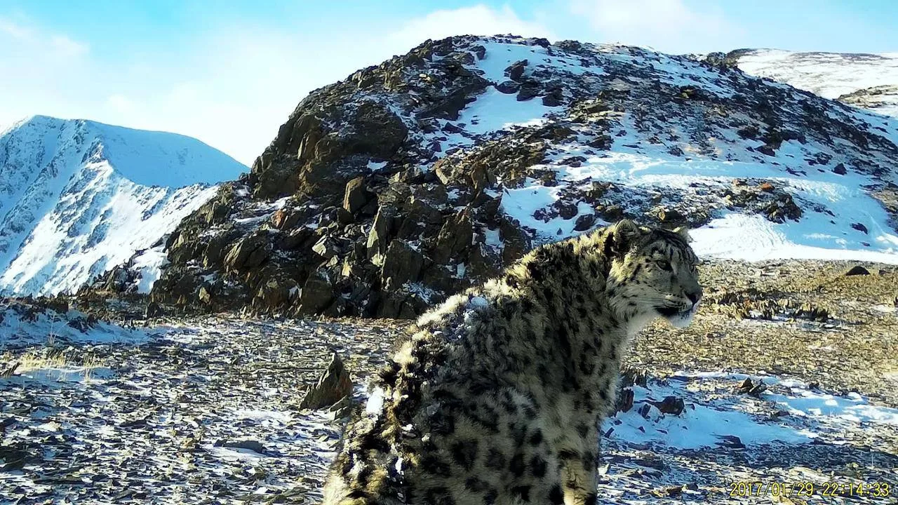 �������� ������� �� ������ ��� ��� ���������� �������� �����