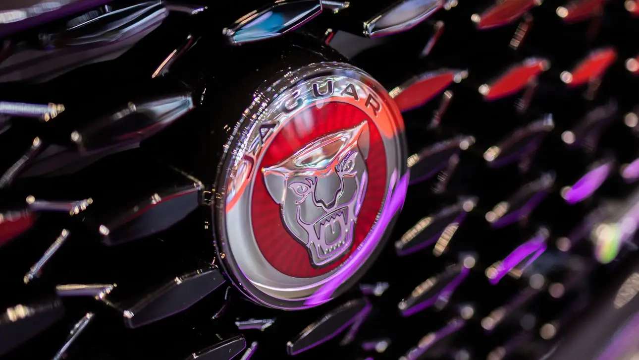 ����� ����� ������������� ��-�� ������������� ����: ��� ��������� � ��������� � ������ ���� �����