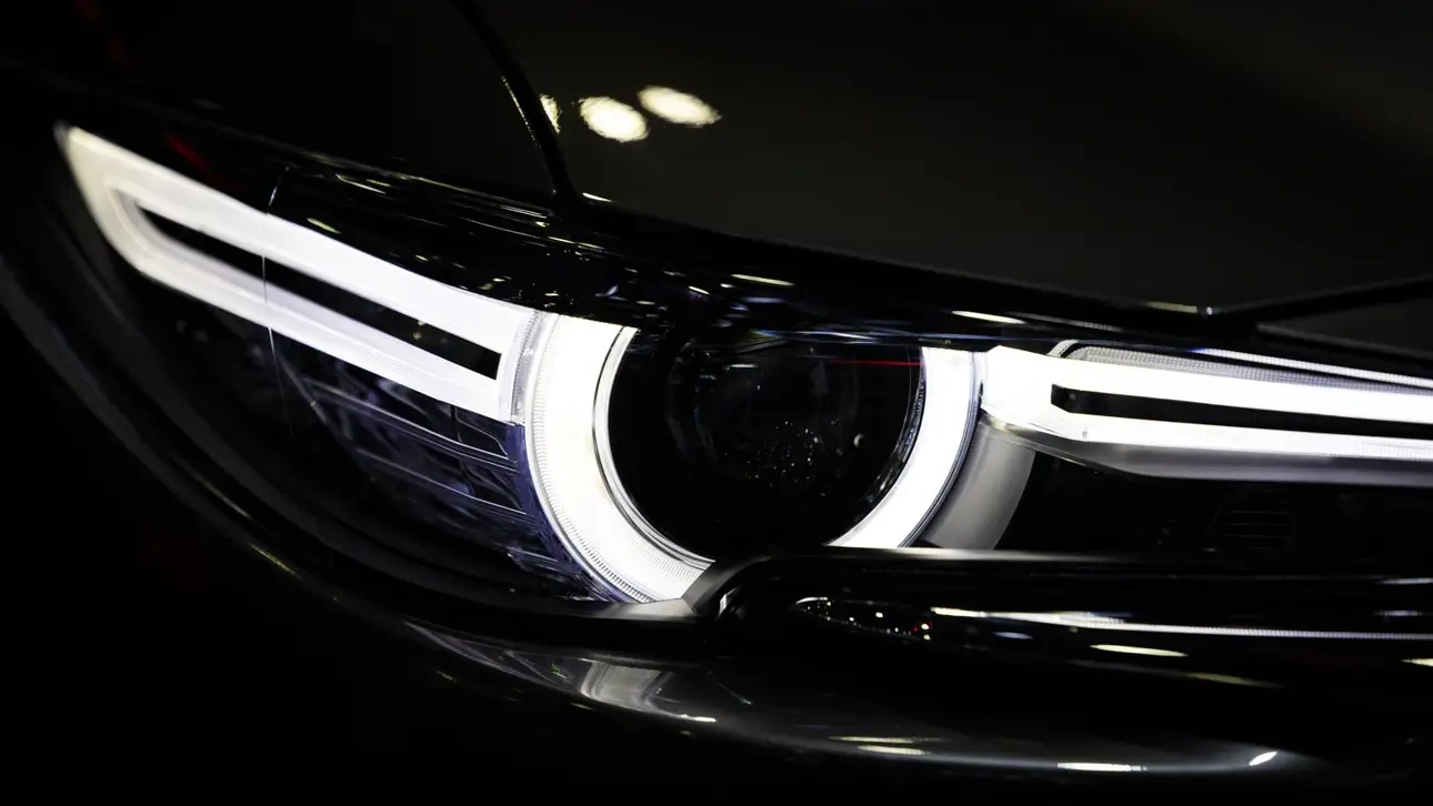 20 ����� ���������� �����������, ������� � �������������, ��������� � 2026 ����