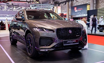 Jaguar      